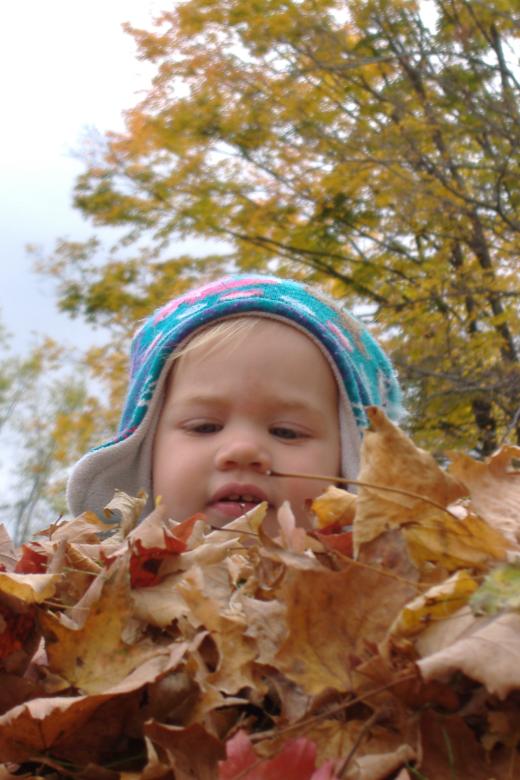 First Leaf Pile